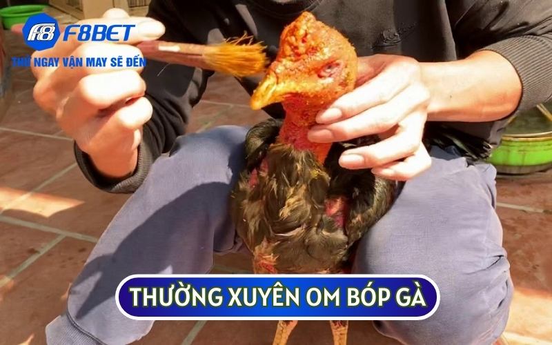 Thường xuyên om bóp gà sẽ theo các phương pháp truyền thống sẽ gà khỏe hơn